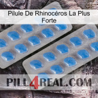 Pilule De Rhinocéros La Plus Forte 23